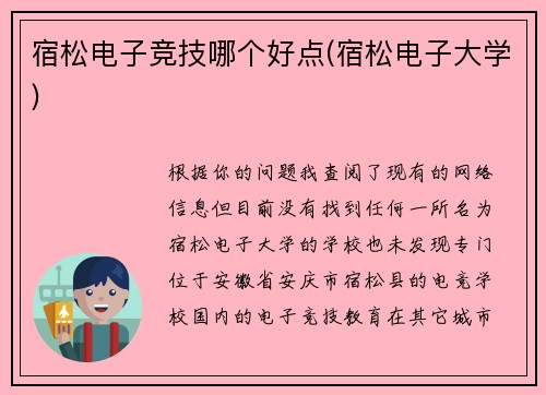 宿松电子竞技哪个好点(宿松电子大学)